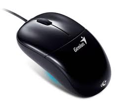 hjgjg
